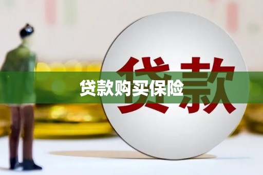 凯里贷款购买保险