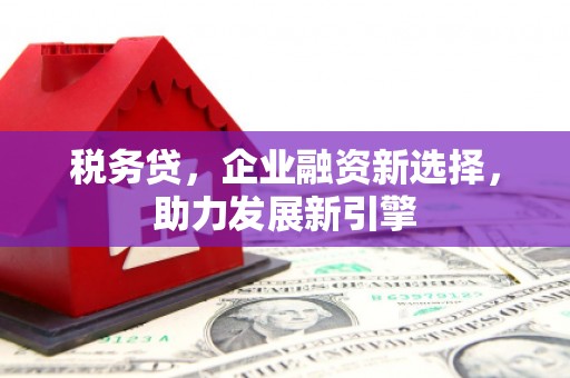 凯里税务贷，企业融资新选择，助力发展新引擎