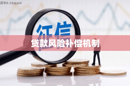 凯里贷款风险补偿机制