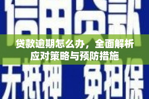 凯里贷款逾期怎么办，全面解析应对策略与预防措施