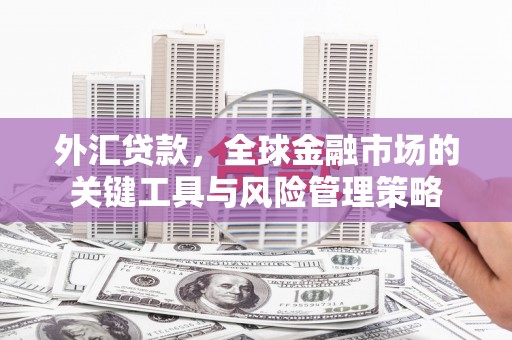 凯里外汇贷款，全球金融市场的关键工具与风险管理策略