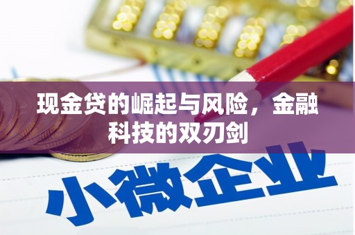 凯里现金贷的崛起与风险，金融科技的双刃剑