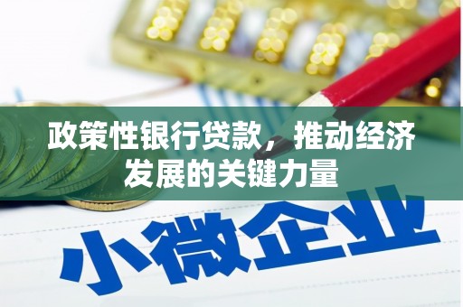 凯里政策性银行贷款，推动经济发展的关键力量