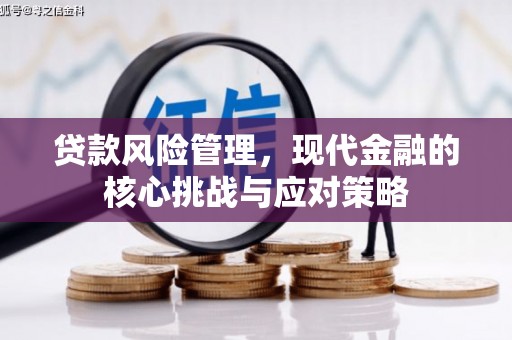 凯里贷款风险管理，现代金融的核心挑战与应对策略