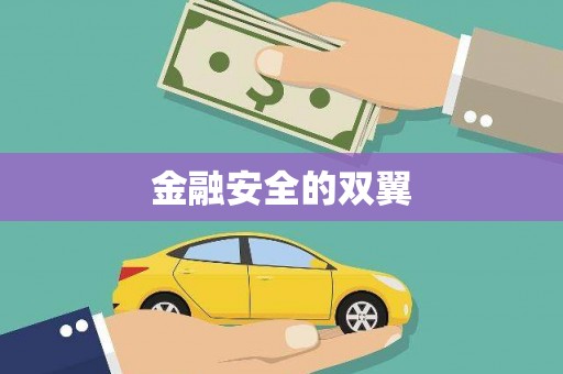 凯里金融安全的双翼