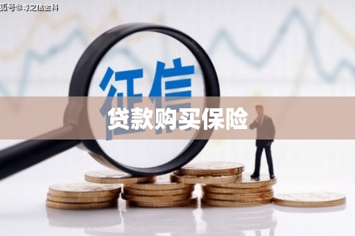 凯里贷款购买保险