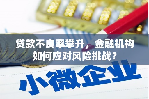 凯里贷款不良率攀升，金融机构如何应对风险挑战？