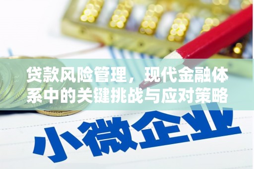 凯里贷款风险管理，现代金融体系中的关键挑战与应对策略