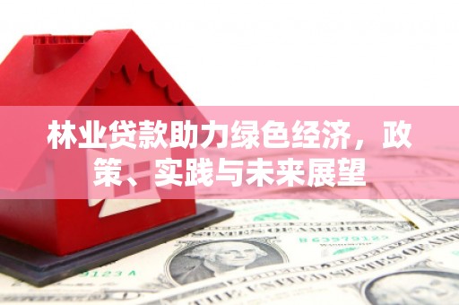 凯里林业贷款助力绿色经济，政策、实践与未来展望