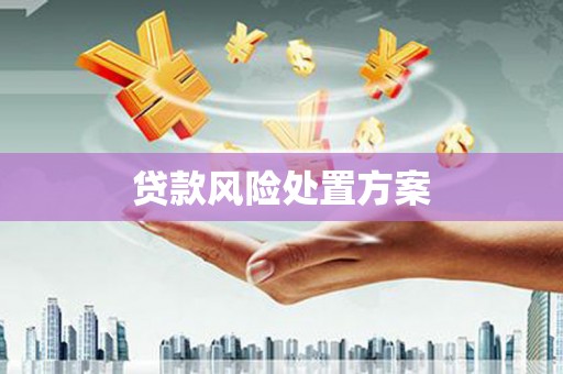 凯里贷款风险处置方案