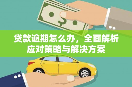 凯里贷款逾期怎么办，全面解析应对策略与解决方案