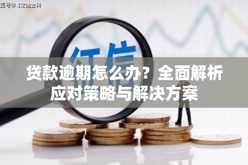 凯里贷款逾期怎么办？全面解析应对策略与解决方案