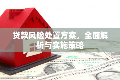 凯里贷款风险处置方案，全面解析与实施策略